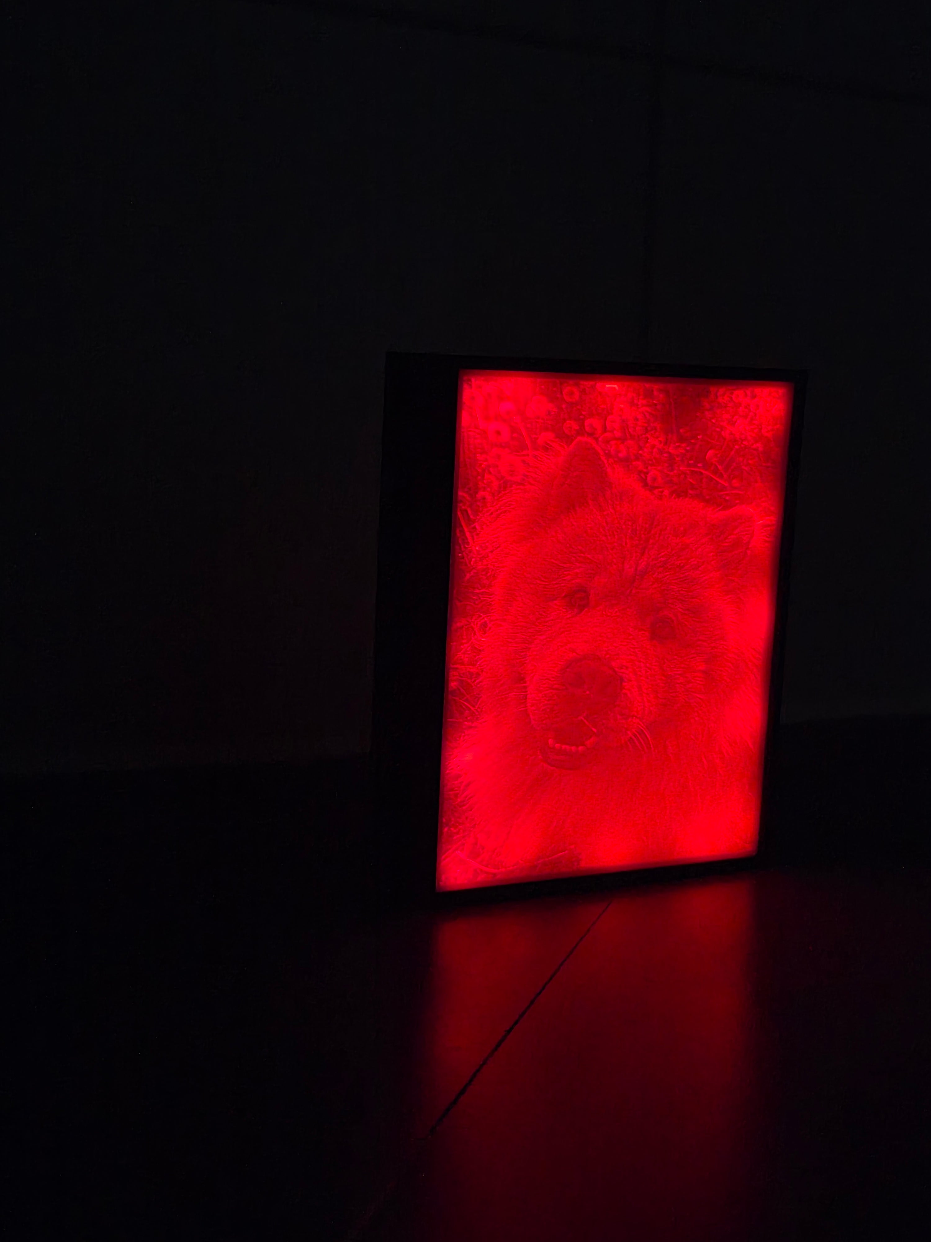 Personalisierte Lichtbox  (Gr. M)