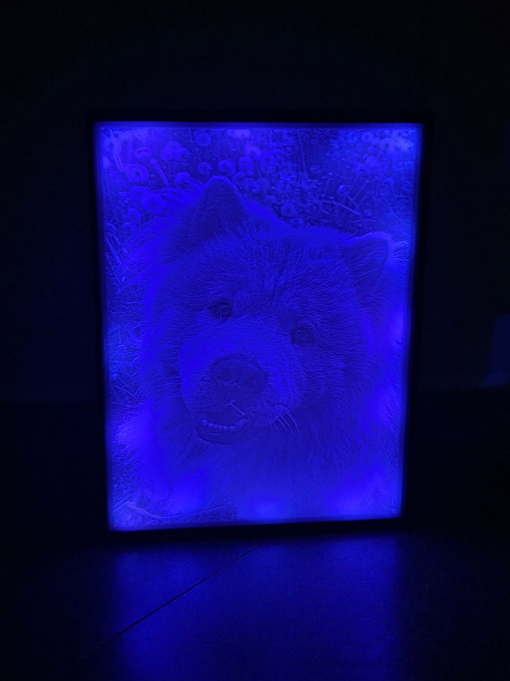 Personalisierte Lichtbox  (Gr. M)