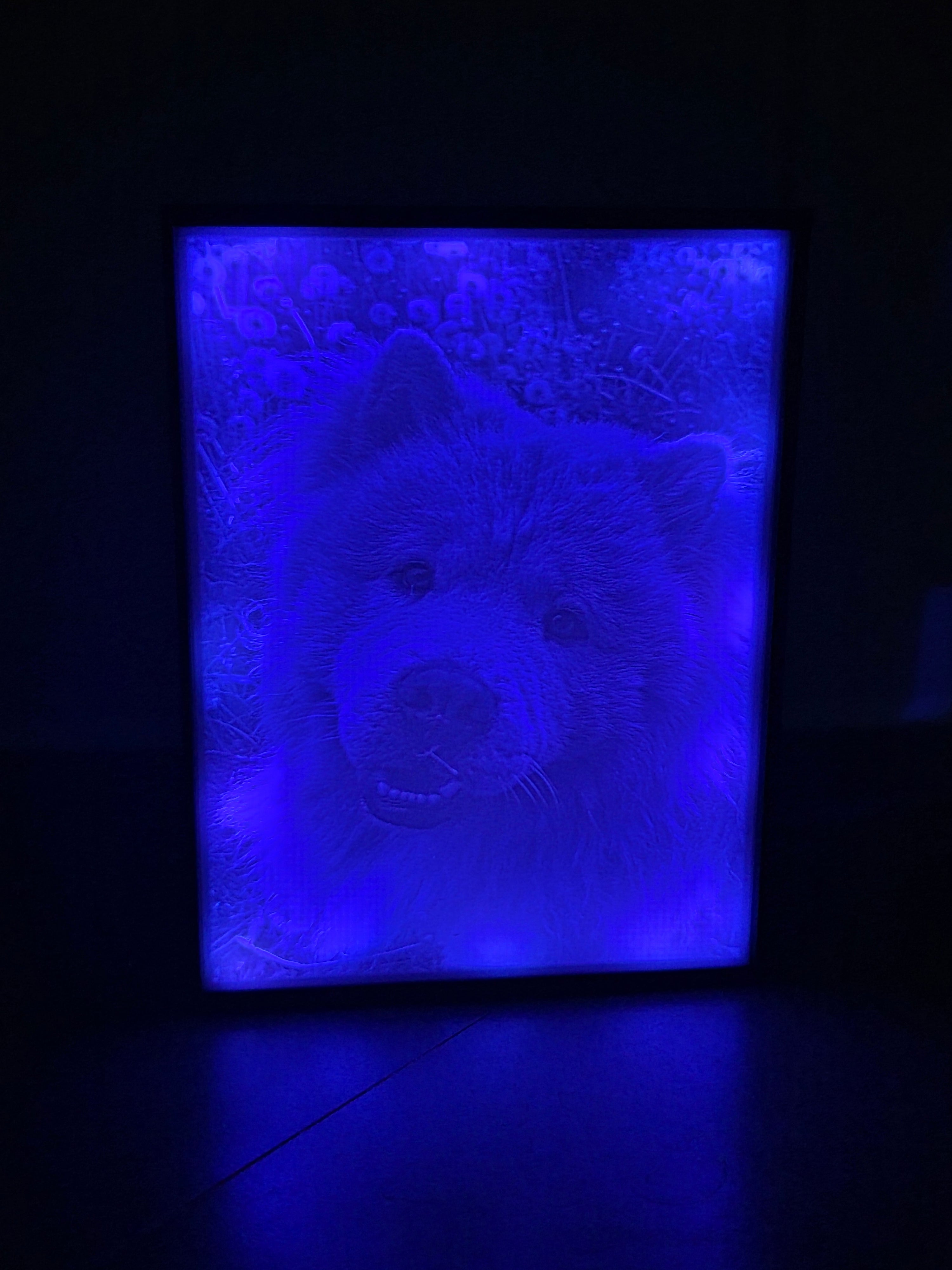 Personalisierte Lichtbox  (Gr. M)