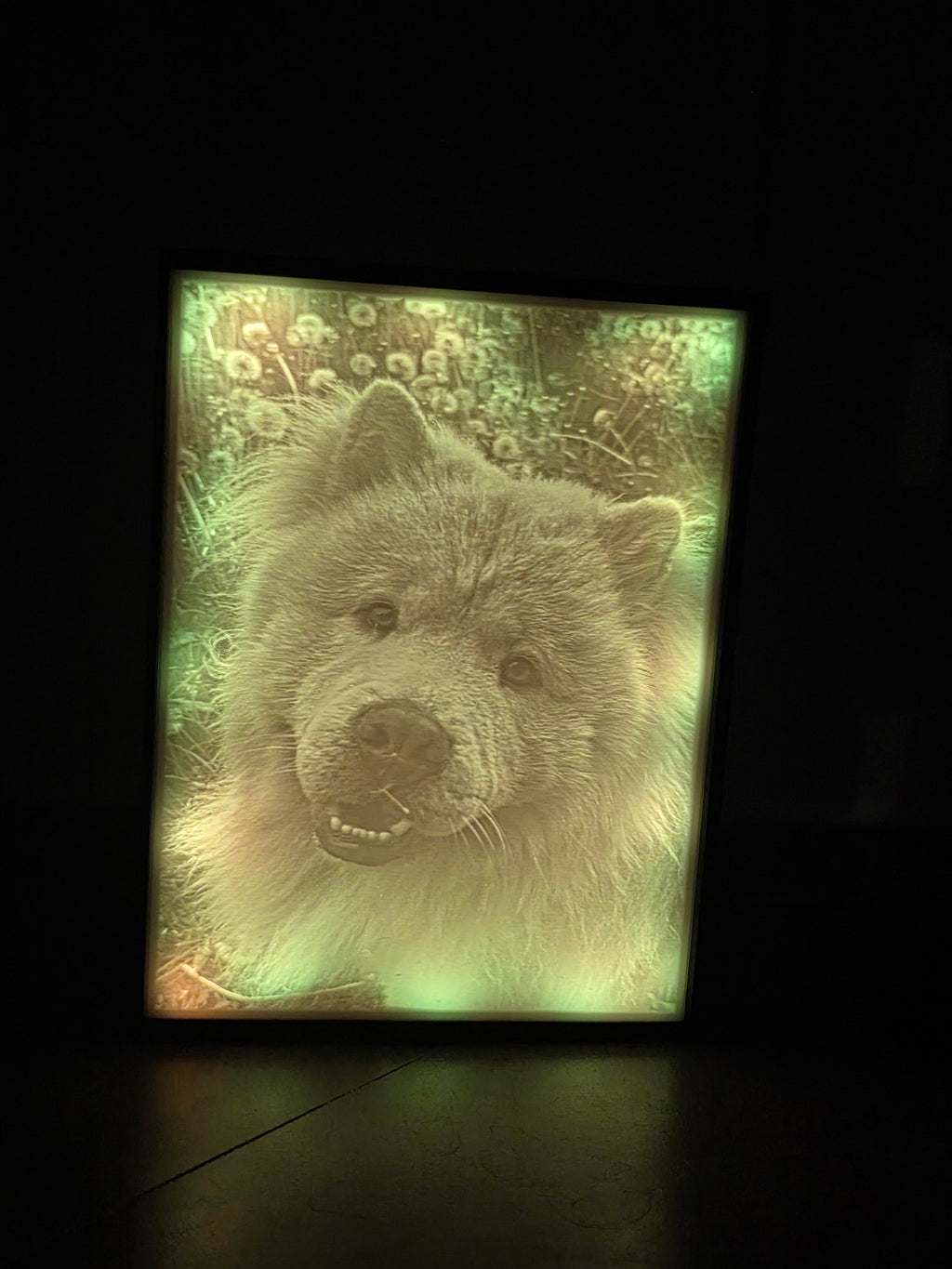 Personalisierte Lichtbox  (Gr. M)